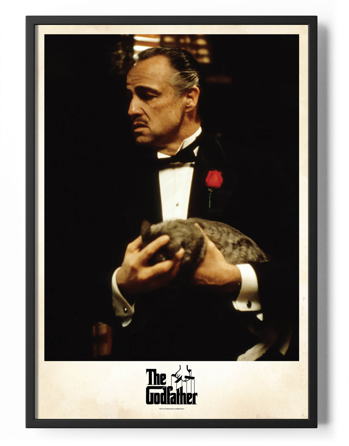 Vito Corleone Photo Poster