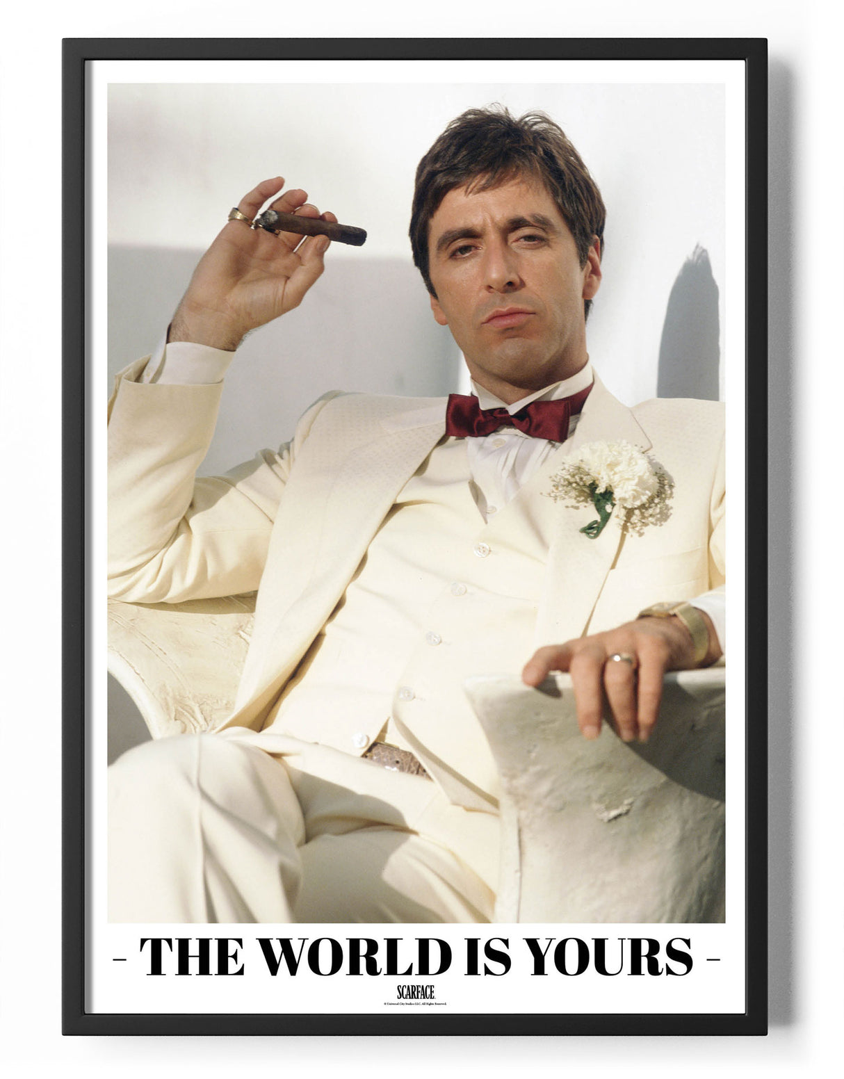 Scarface - The World Is Your Poster