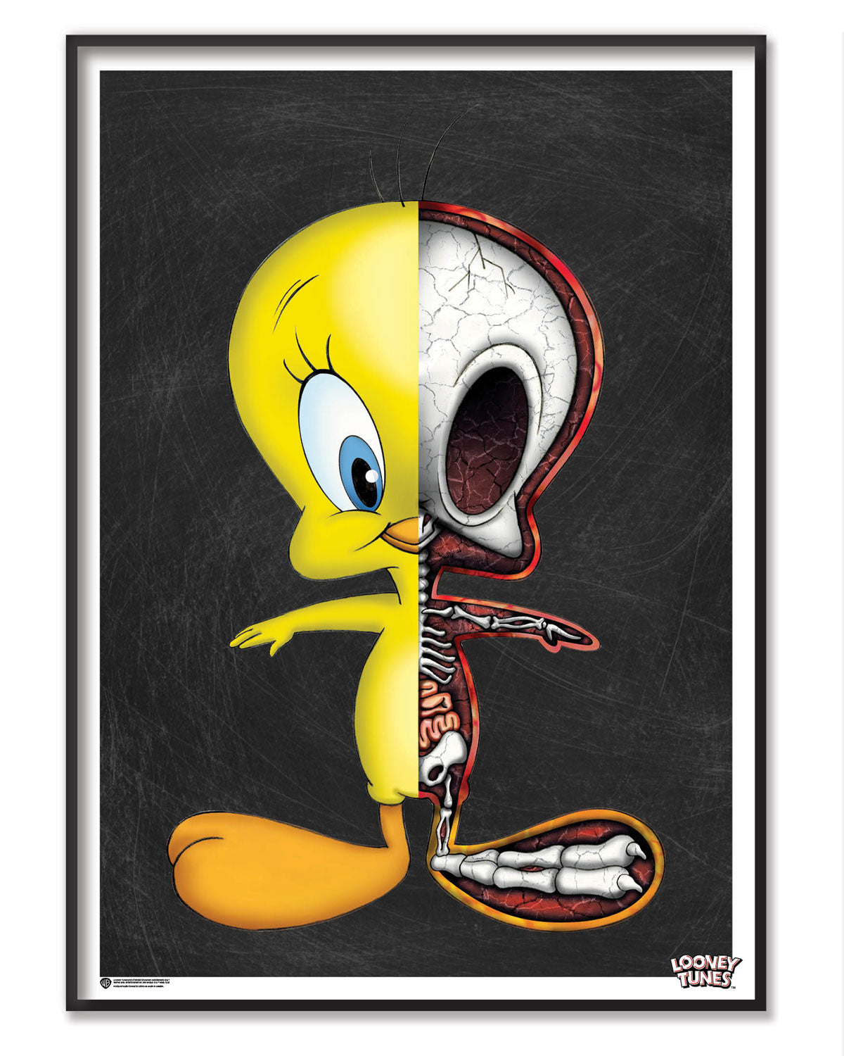 The Anatomy of Tweety Poster