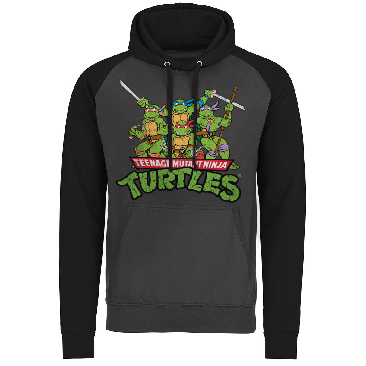 Turtles Distressed Group Baseball Hoodie