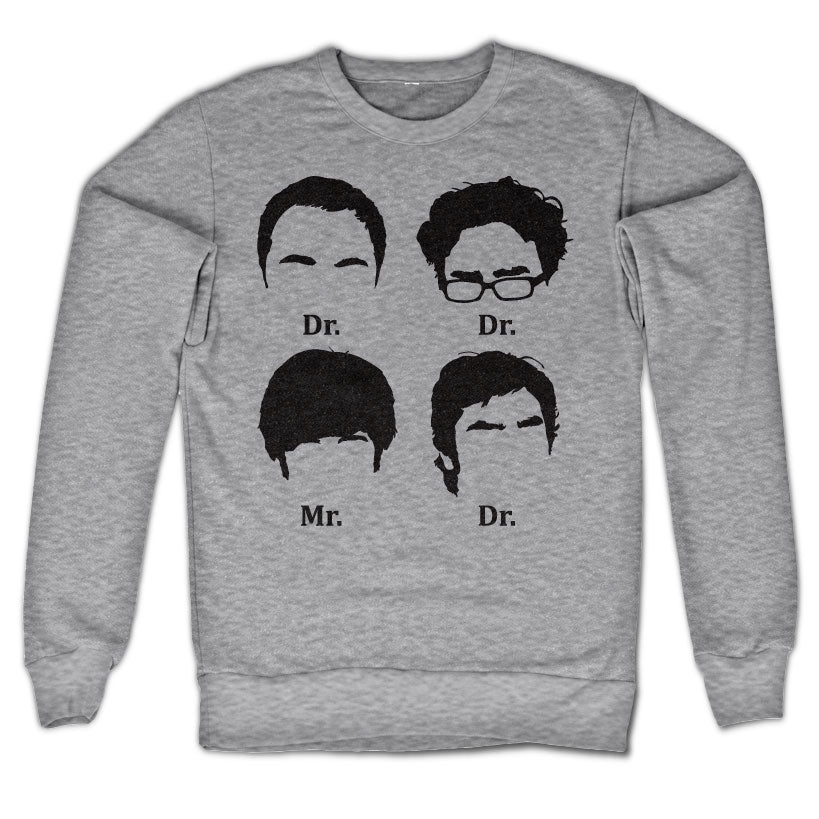 Big Bang Theory Prefix Heads Sweatshirt